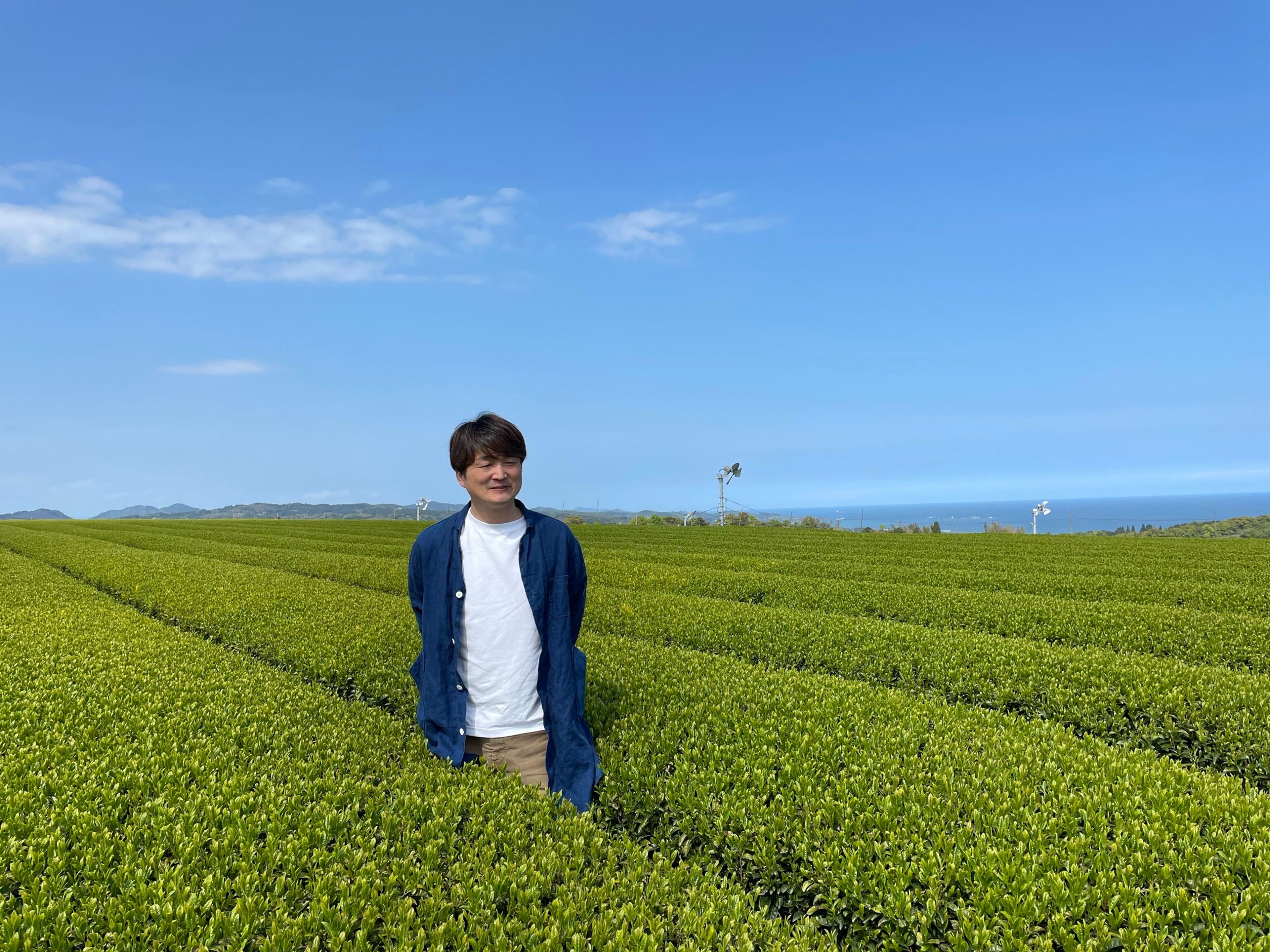 Sunset Tea Tasting 