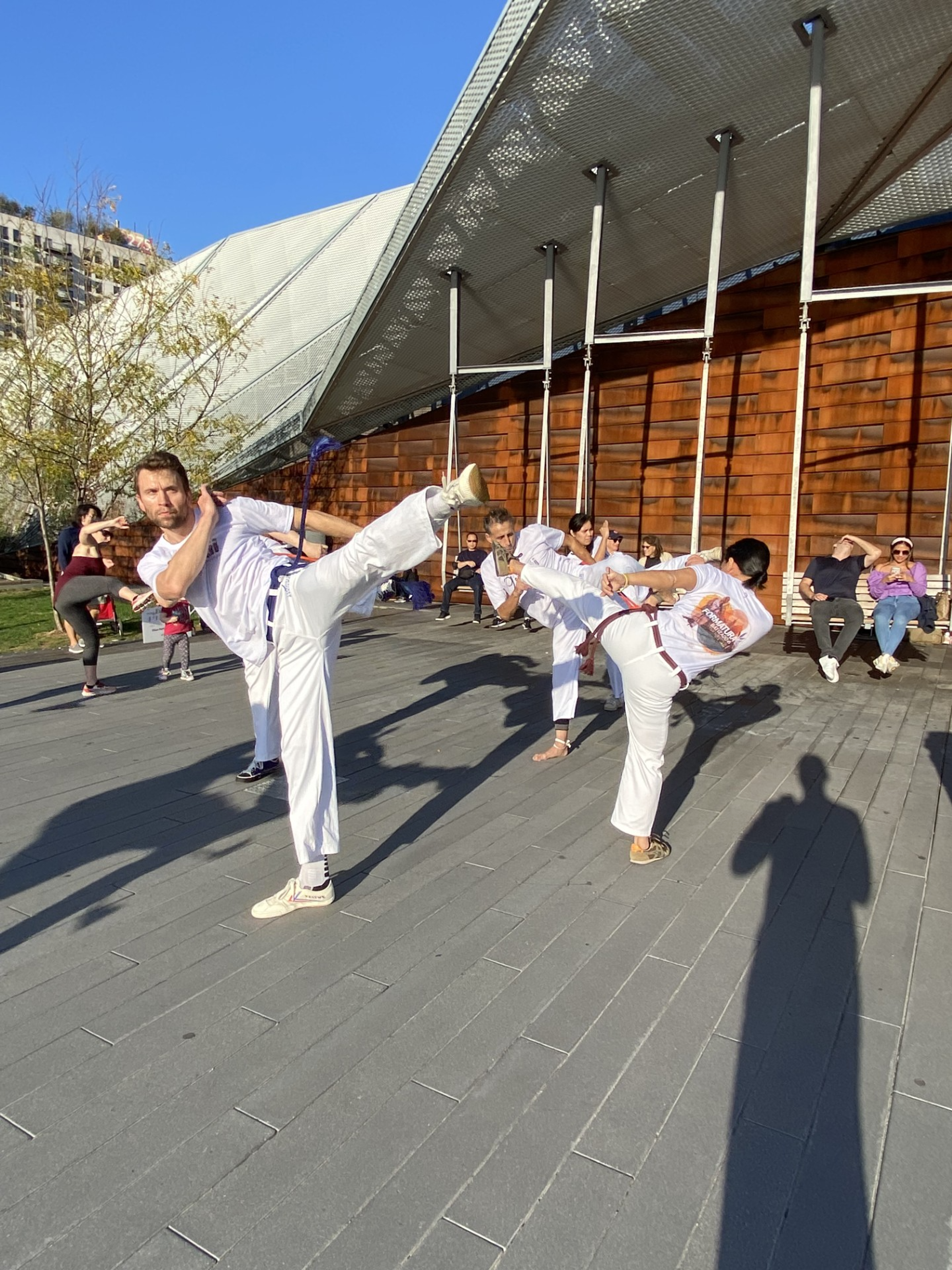 Intro to Capoeira Series 