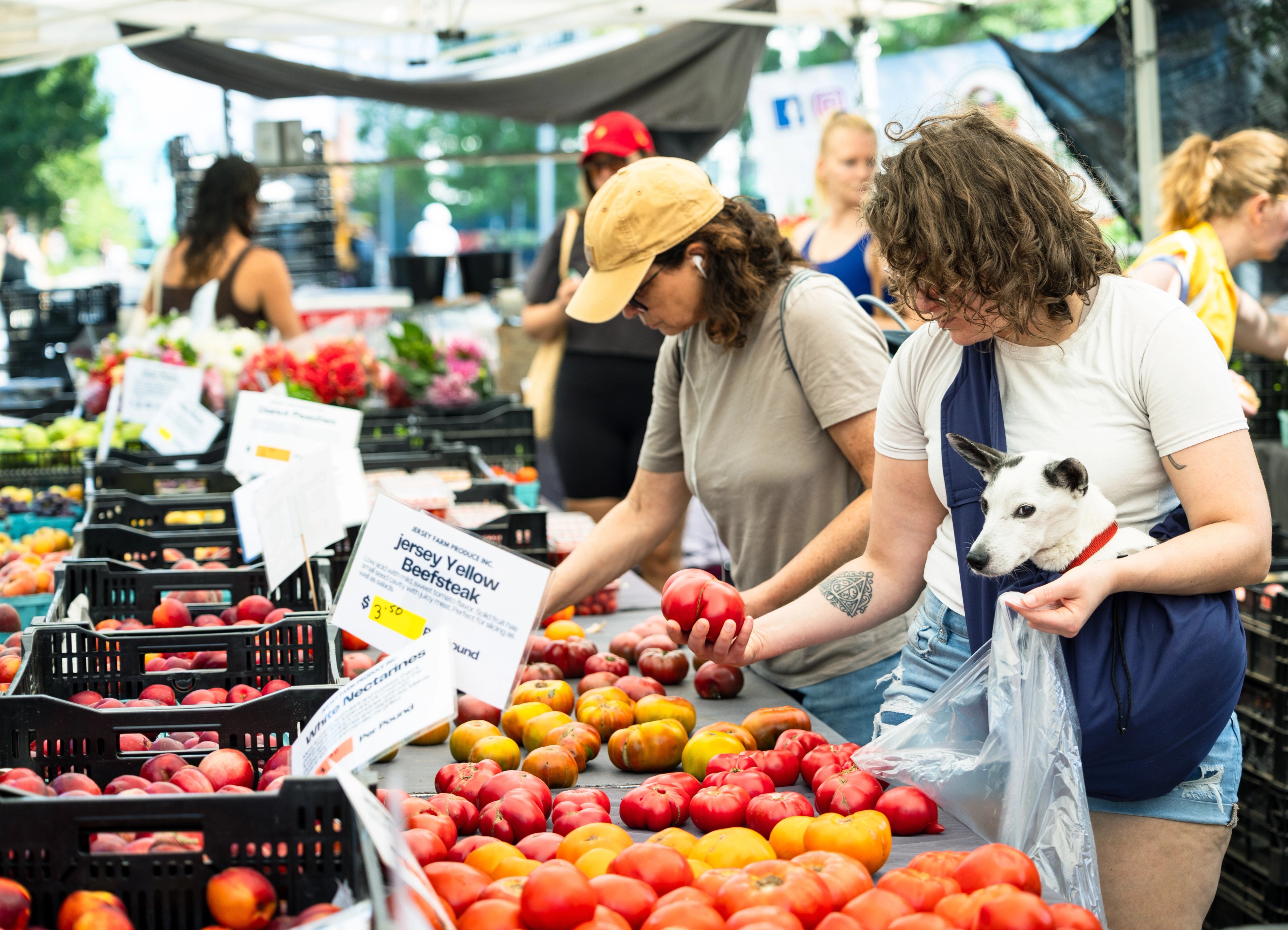 Greenmarket 