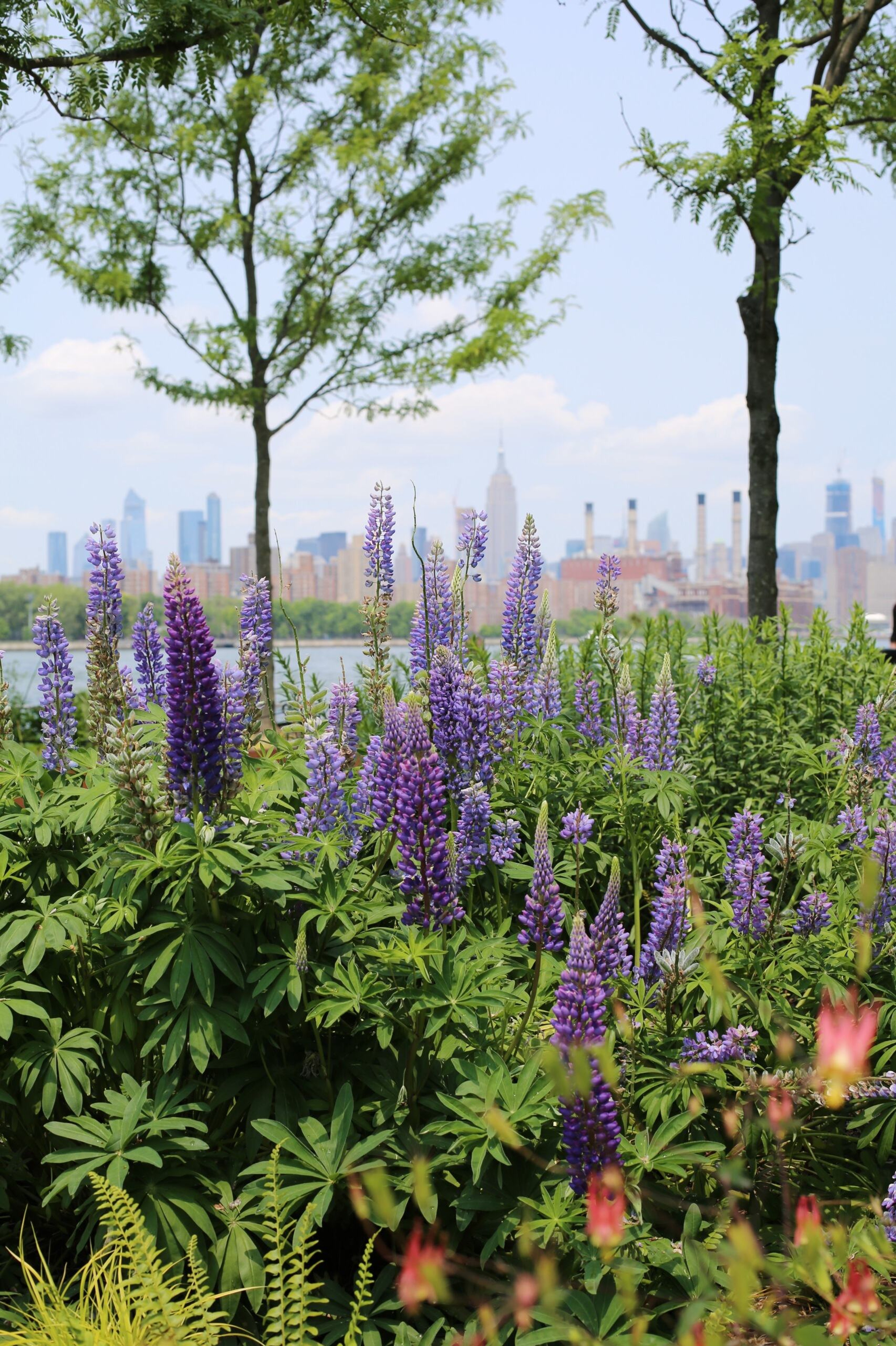 Horticulture Tours
