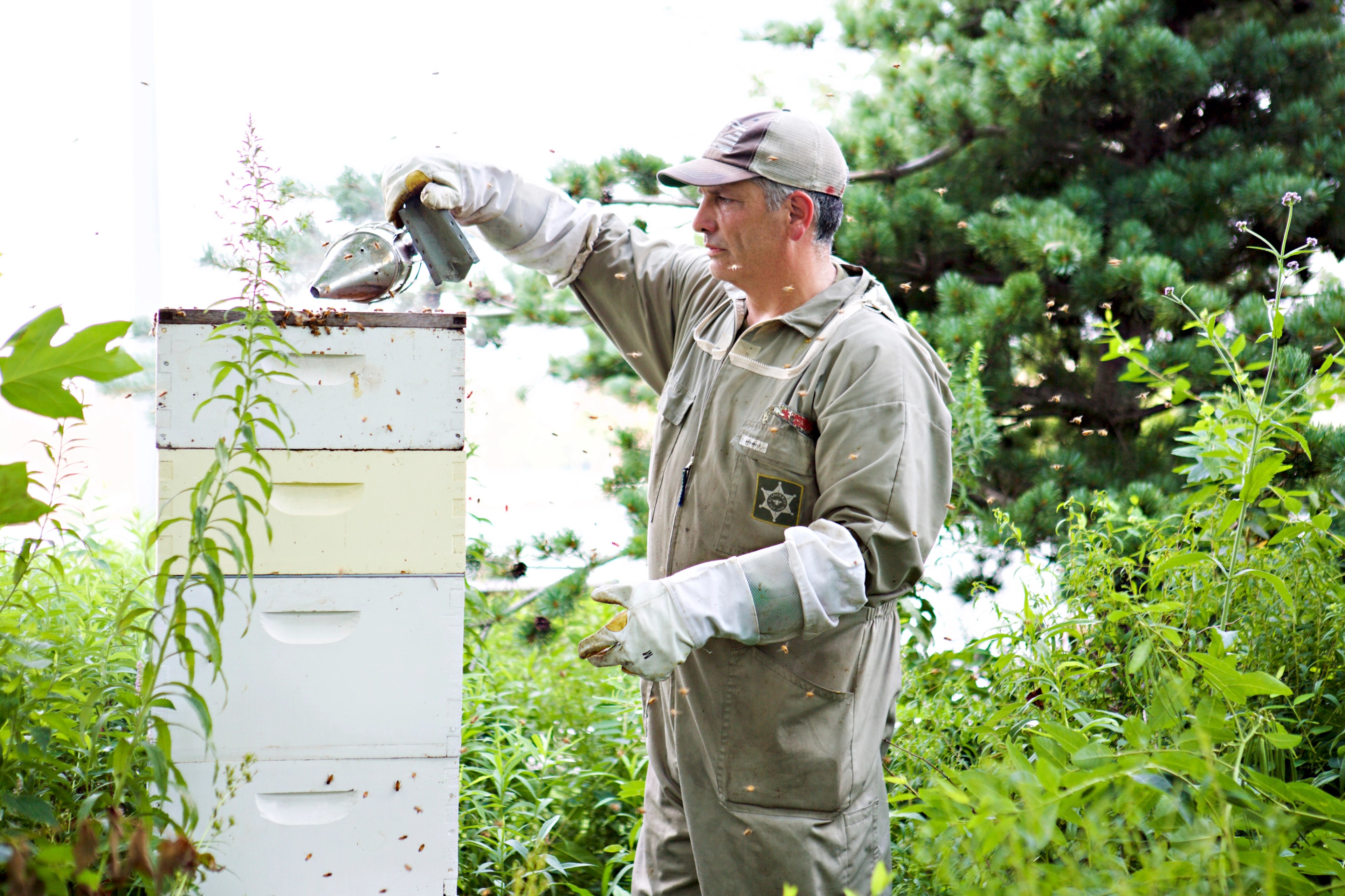 Meet the Beekeeper 